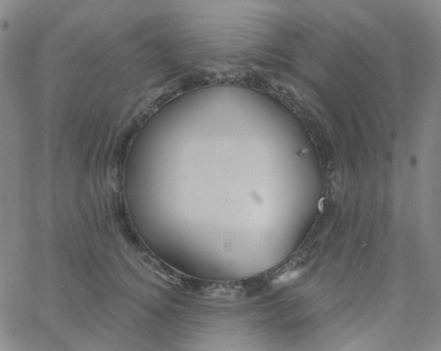 X0000061750756200512231525