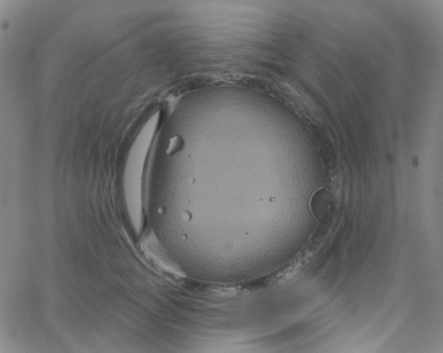 X0000061750757200512231525