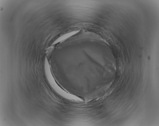 X0000061750758200512231525