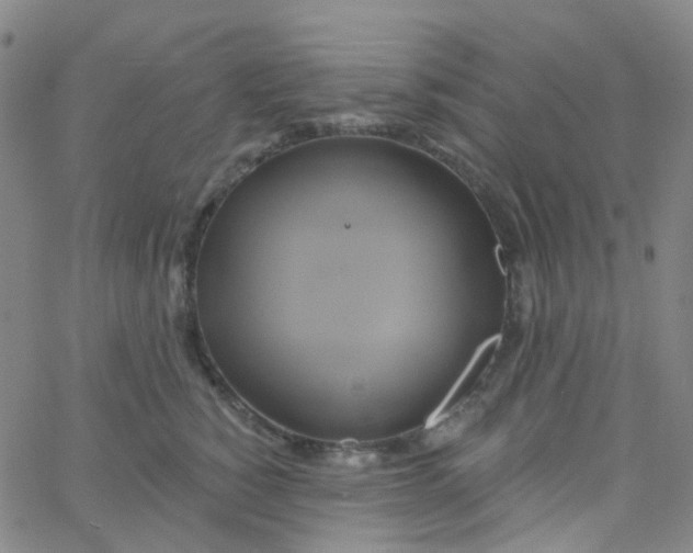 X0000061750760200512231525