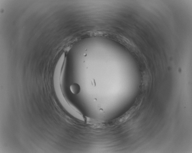 X0000061750761200512231525