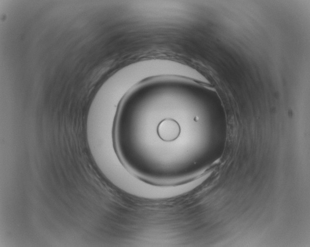 X0000061750762200512231525