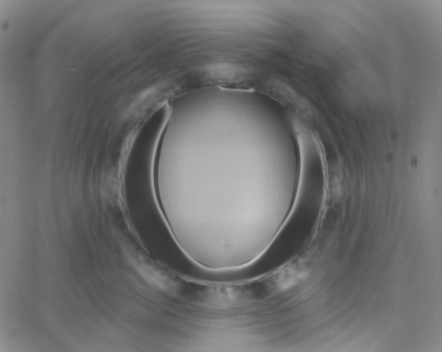 X0000061750764200512231525