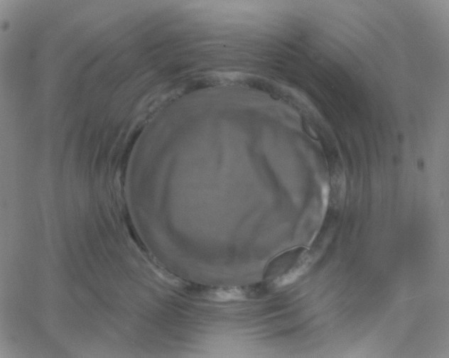 X0000061750765200512231525