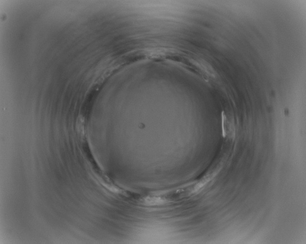 X0000061750766200512231525