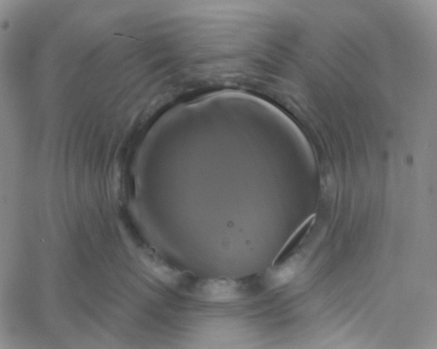 X0000061750767200512231525