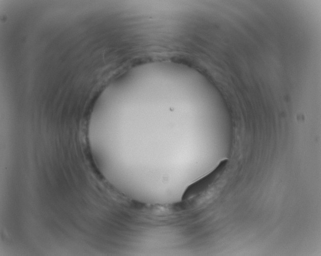 X0000061750768200512231525