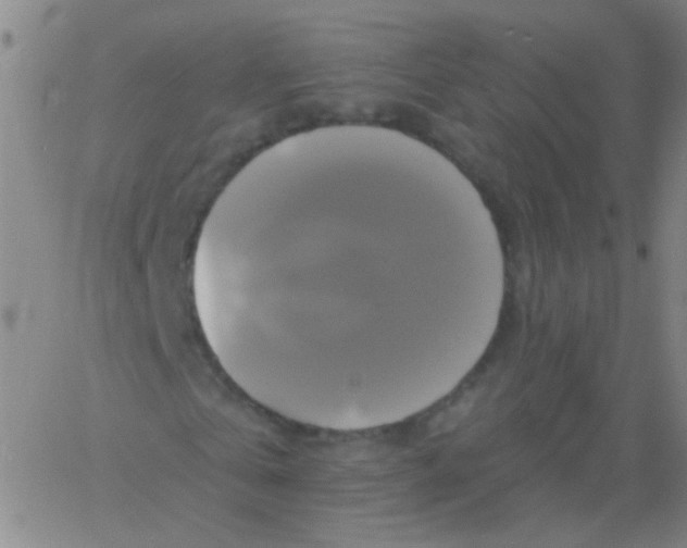 X0000061750769200512231525