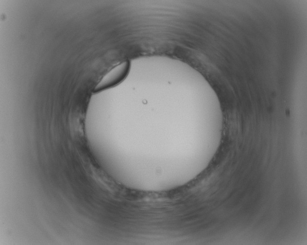 X0000061750770200512231525