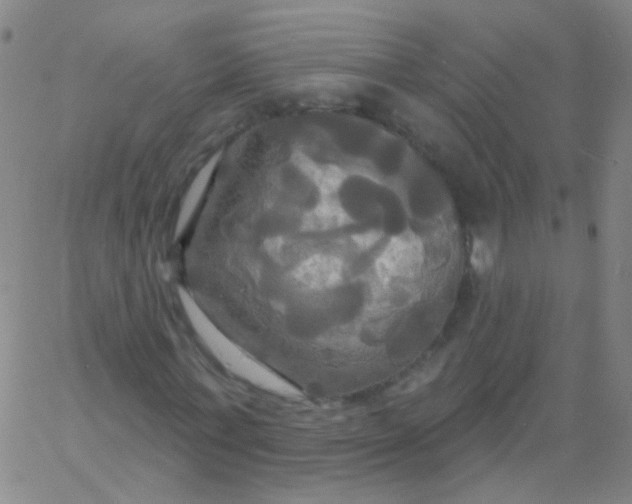 X0000061750771200512231525