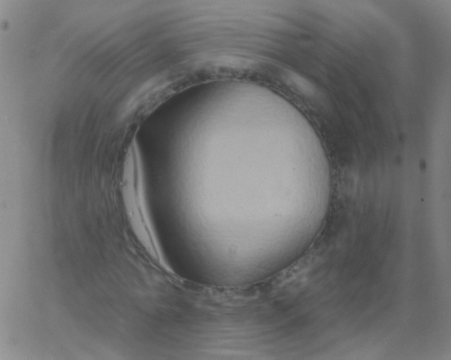 X0000061750774200512231524