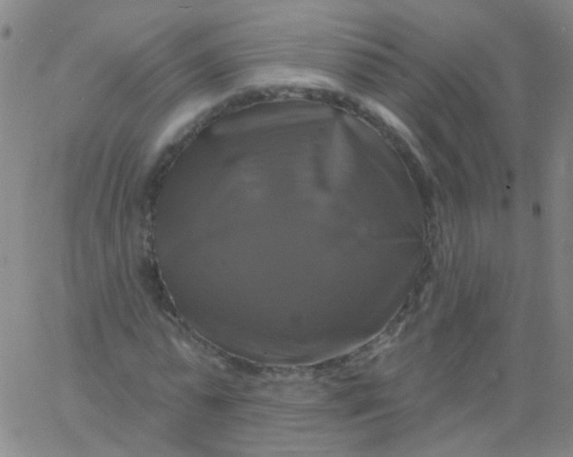 X0000061750775200512231524