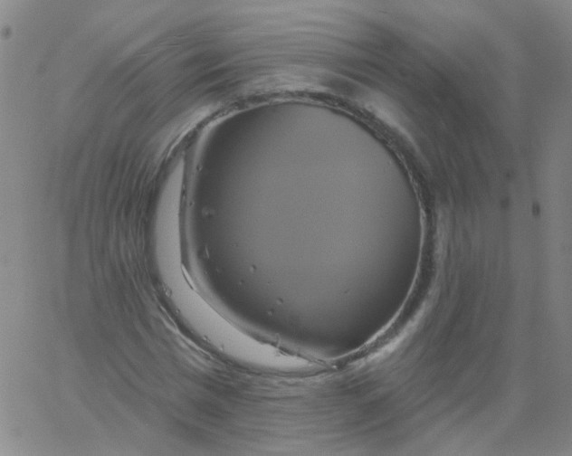 X0000061750777200512231524