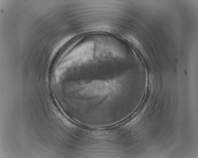 X0000061750780200512231524