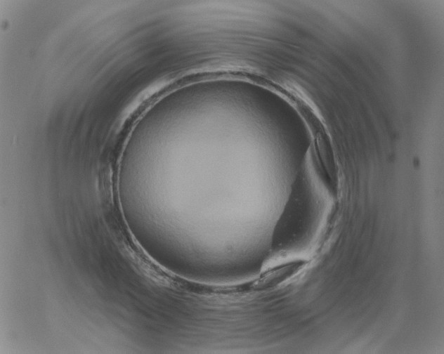 X0000061750781200512231524