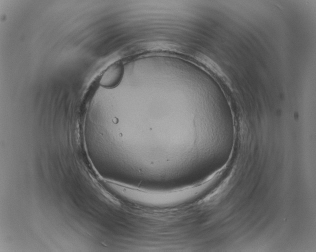 X0000061750782200512231524