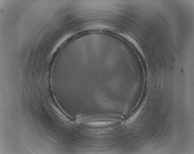 X0000061750783200512231524