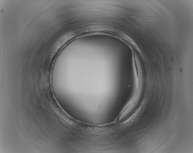 X0000061750786200512231524