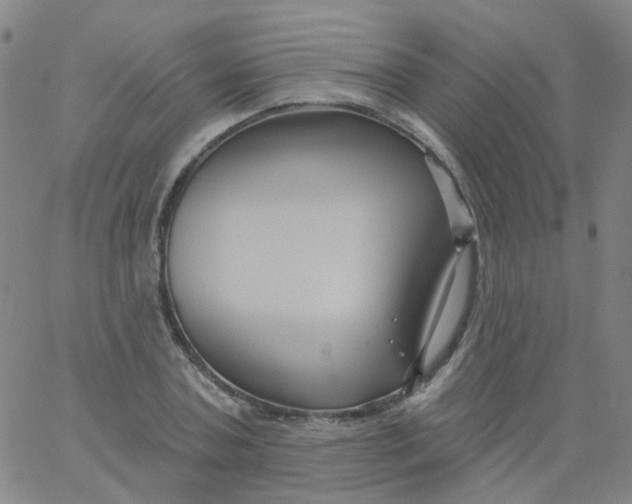 X0000061750787200512231524