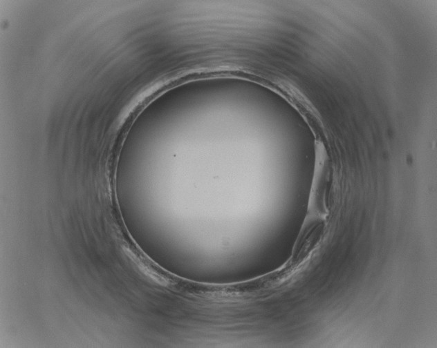 X0000061750789200512231524