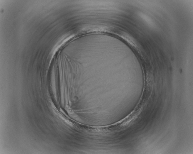 X0000061750790200512231524