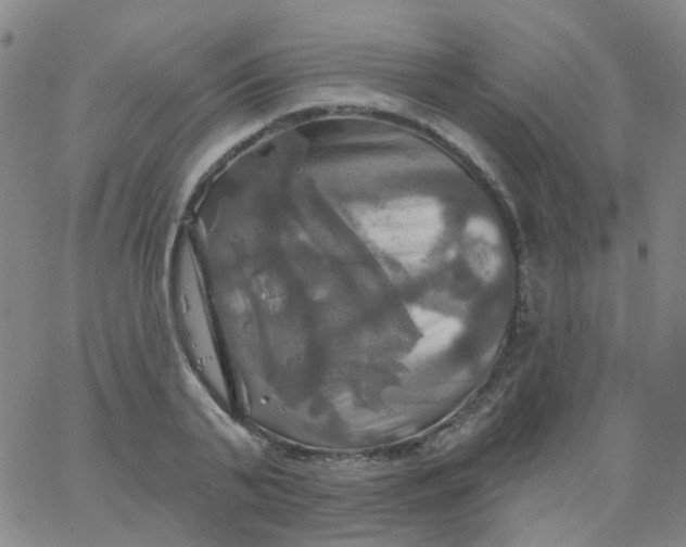 X0000061750791200512231524