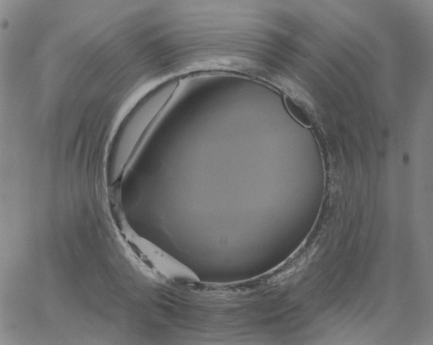 X0000061750792200512231524