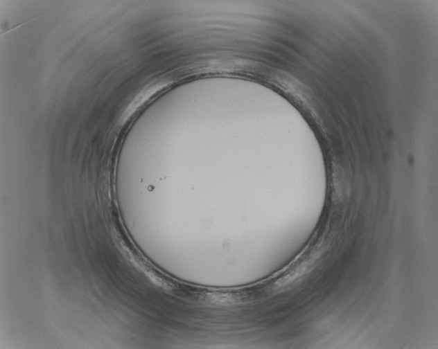 X0000061750794200512231524