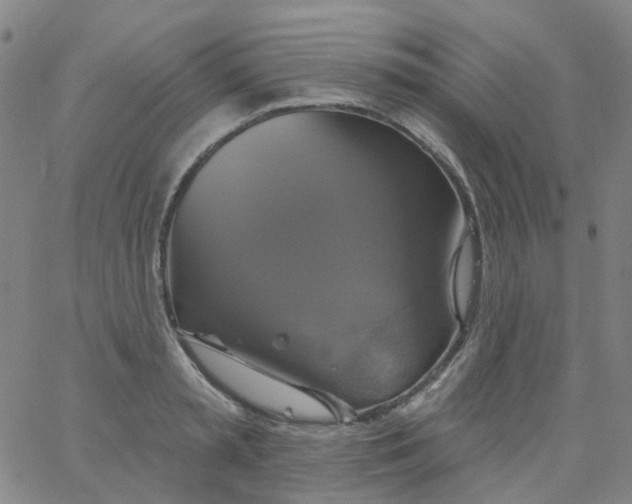 X0000061750797200512231524