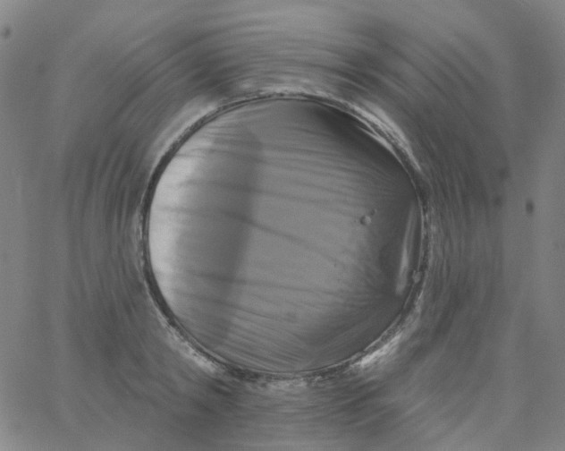 X0000061750798200512231524