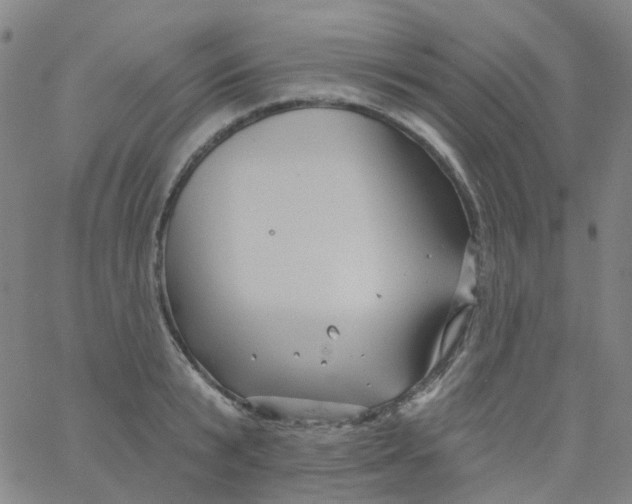 X0000061750799200512231524