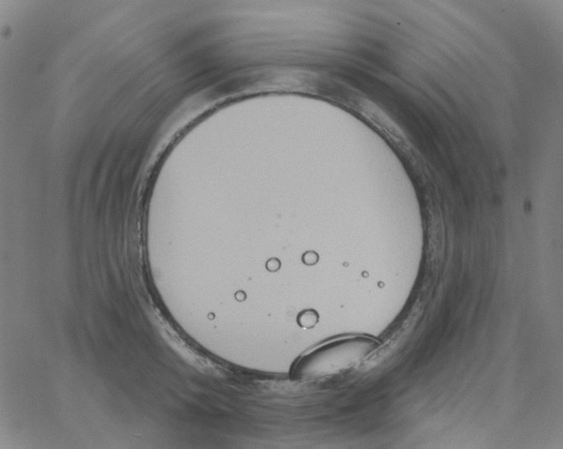 X0000061750800200512231524