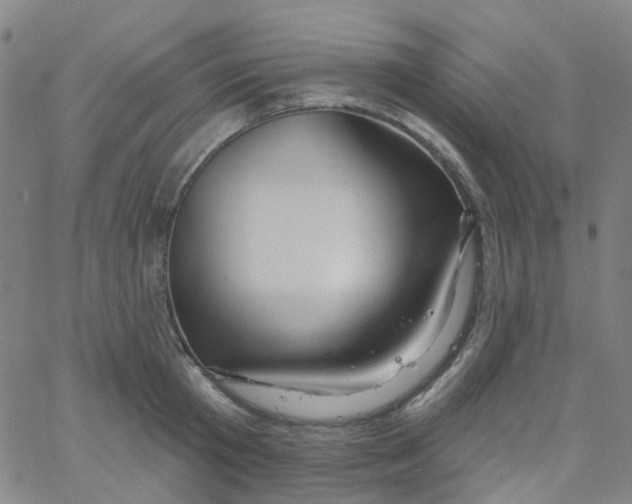 X0000061750801200512231524