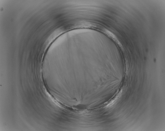 X0000061750802200512231524