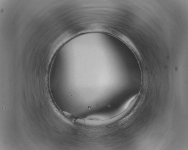 X0000061750805200512231524