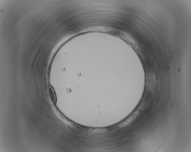 X0000061750808200512231524