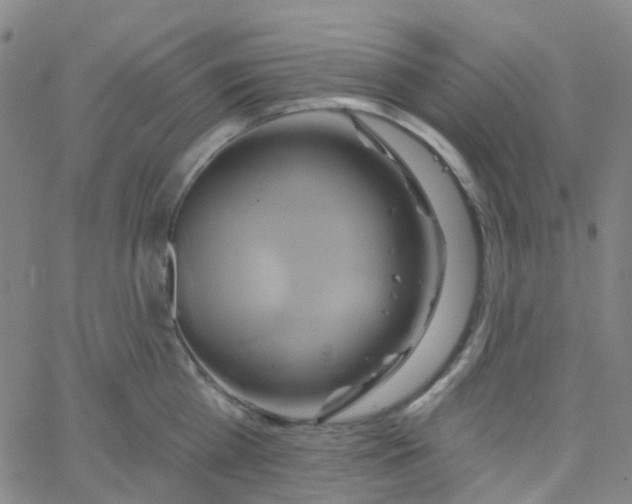 X0000061750809200512231524