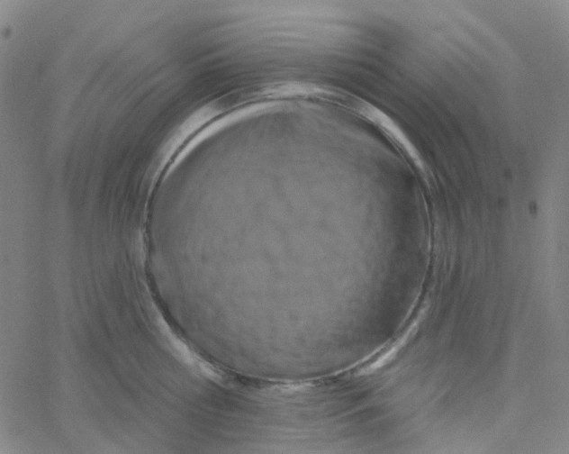 X0000061750810200512231524