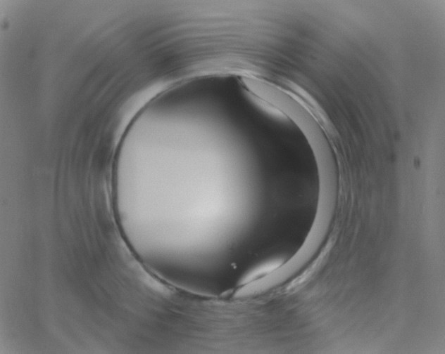 X0000061750812200512231524