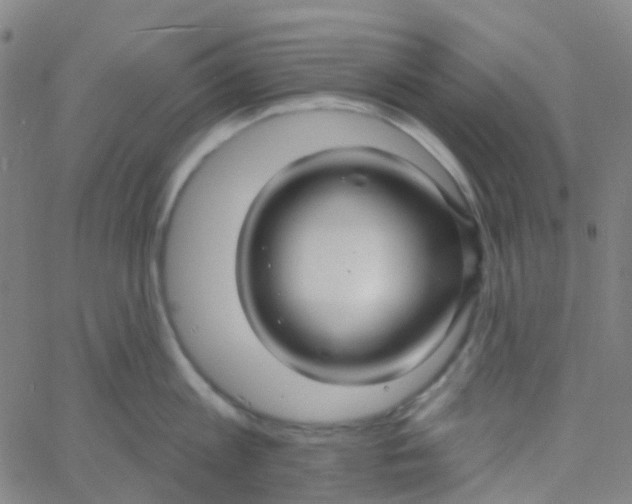 X0000061750813200512231524