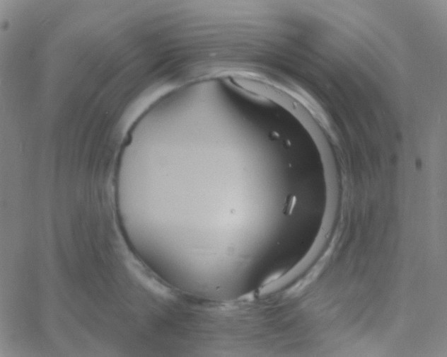 X0000061750814200512231524