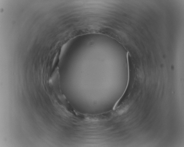 X0000061750818200512231523