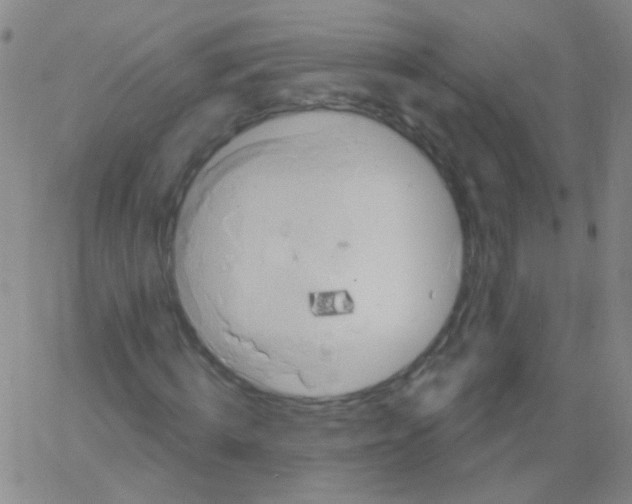 X0000061750820200512231523