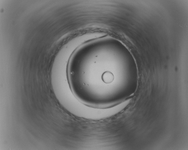 X0000061750821200512231523