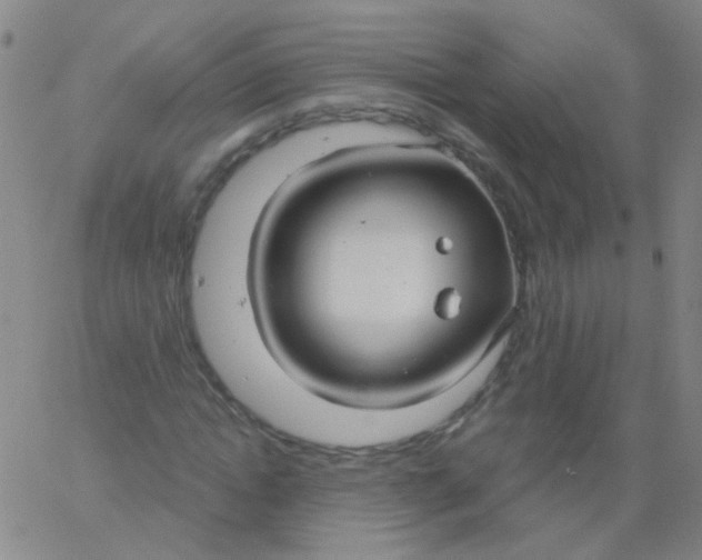 X0000061750822200512231523