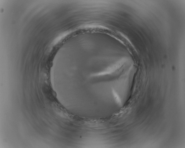 X0000061750823200512231523