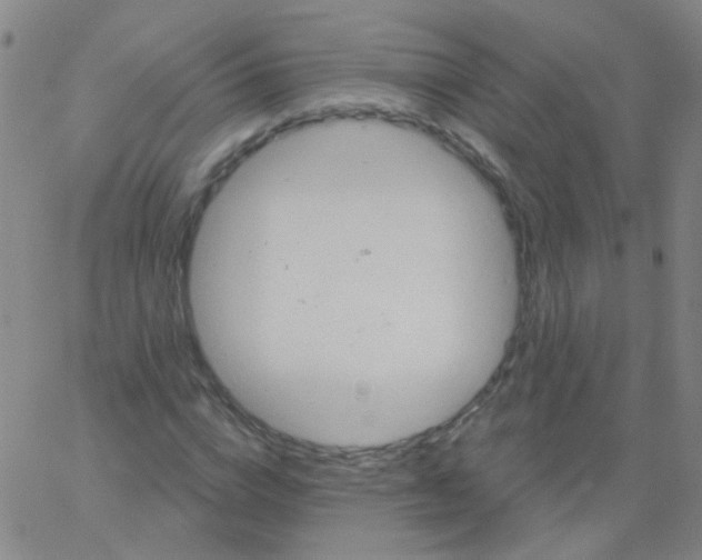 X0000061750824200512231523