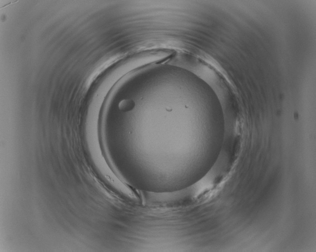 X0000061750826200512231523