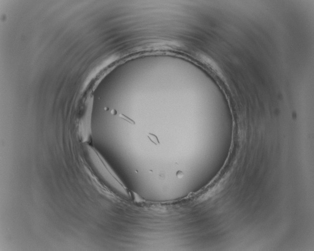 X0000061750827200512231523