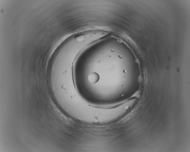 X0000061750828200512231523